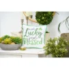 C&F Home 10" X 10" Not Luck Just Blessed Embroidered Throw Pillow